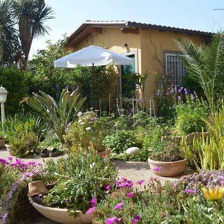 Vila Le Cicale Casal Palocco Exteriér fotografie