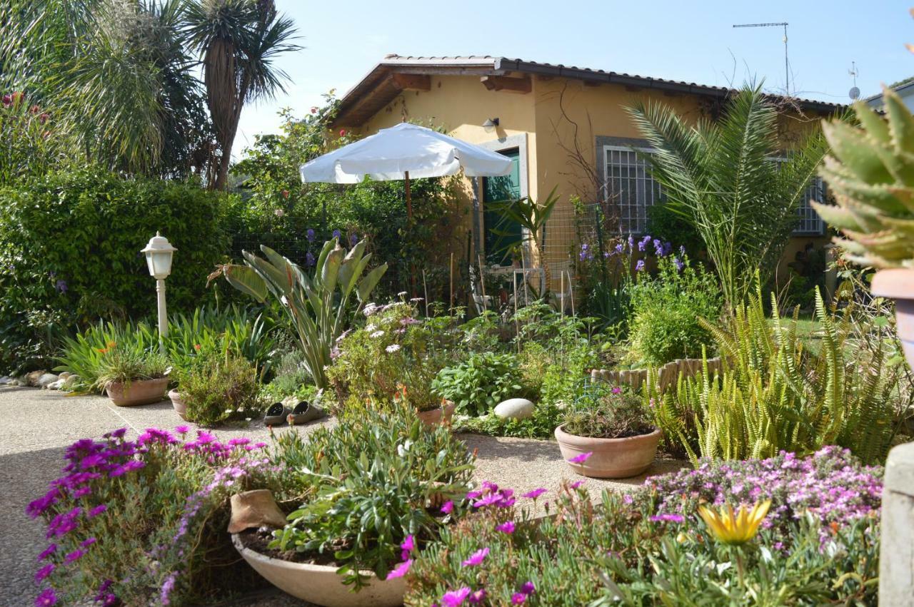 Vila Le Cicale Casal Palocco Exteriér fotografie